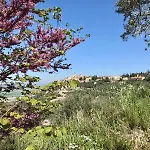 La Corte Di *