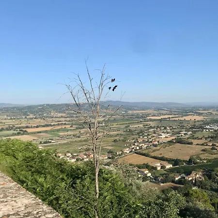 公寓 La Corte Di 特雷维