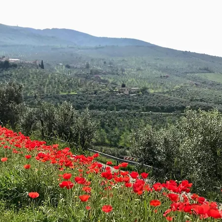 La Corte Di Apartmán *