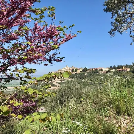 La Corte Di *