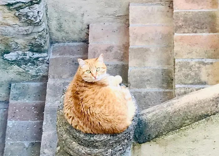 La Corte Di Apartment Trevi