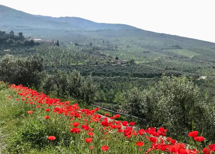 La Corte Di Apartmán *